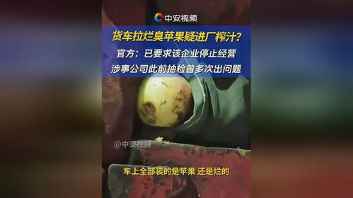 食品厂用烂水果榨汁 官方 已要求该企业停止经营,涉事公司此前多次抽检出问题 食品安全 水果榨汁